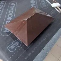 Колпаки обычные 