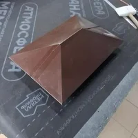 Колпаки обычные 